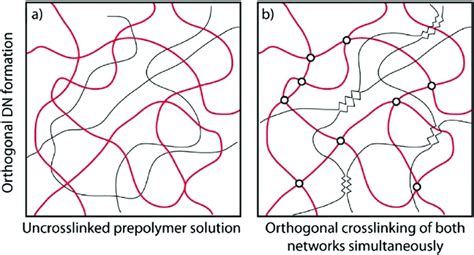 Schematic Of Orthogonal Double Network Hydrogel Formation A A