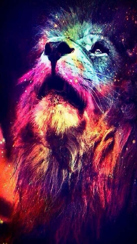 Lion Galaxy Wallpapers on WallpaperDog