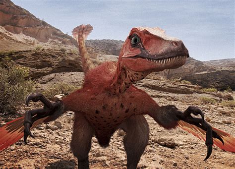 Velociraptor | Primeval Fanon Wiki | FANDOM powered by Wikia