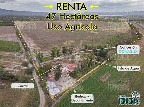 Renta Lote De Terreno En Ciudad Villa De Reyes Villa De Reyes San