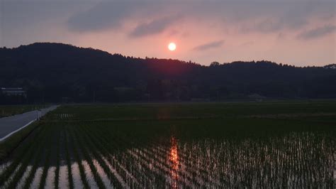 今日の夕日！ 宮澤博士の五頭日記 Part2！