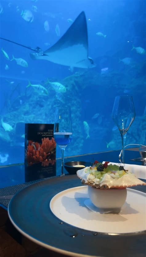 Bali’s First Underwater Restaurant Review- The Koral Restaurant | by Luxury Travel Babe Blog ...