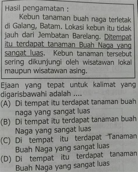 Contoh Soal Penggunaan Ejaan Kelas 6 Sd Soal Kelasmu Hot Sex Picture