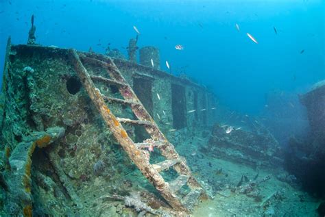 Dive Trip Yongala Wreck Oct Oct Brisbane Scuba