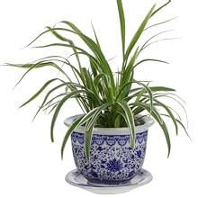 Amazon BESPORTBLE Blue And White Porcelain Decorative Flower Pot