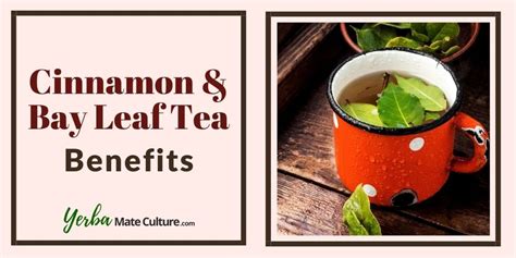 7 Amazing Cinnamon and Bay Leaf Tea Benefits