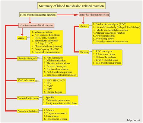 Blood Banking Part Blood Transfusion Reactions In Donor And