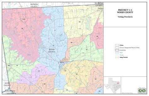 Texas County Precinct Map