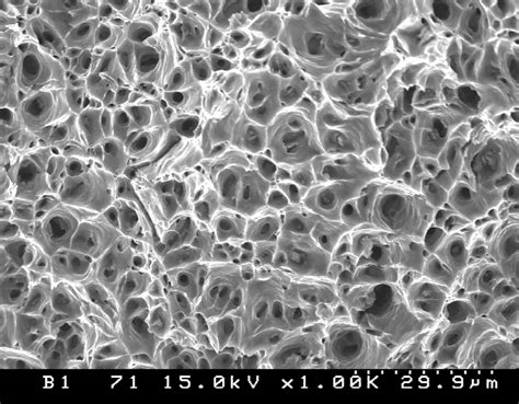 Fracture Surface Morphologies Of Al Oa Fractured Specimens After