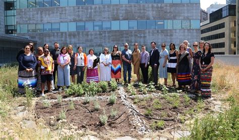 Growth And Healing New Sacred Medicine Garden Supports First Nations