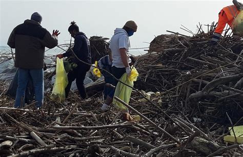 Via I Rifiuti Dalla Spiaggia Decine Di Sacchi Riempiti Dai Volontari