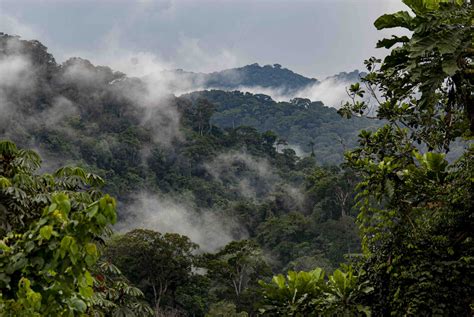 Discover Gabon | National Parks