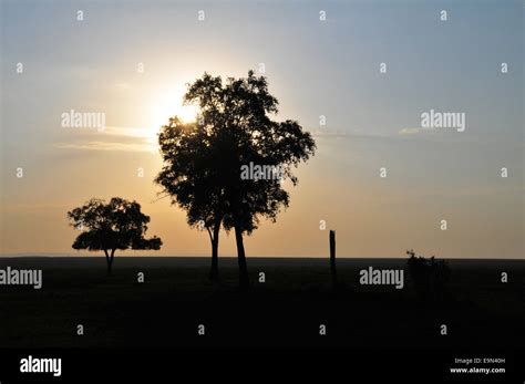 Masai Mara Sunrise Stock Photo - Alamy