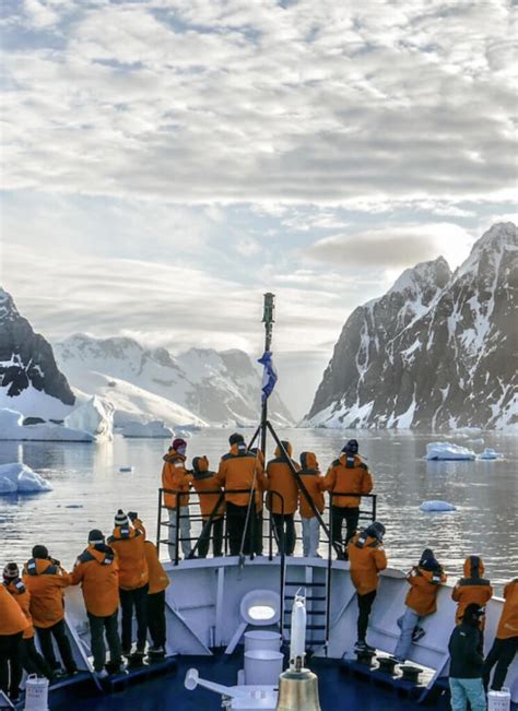 Antarctica Seals Species Adaptations To The Cold Freestyle