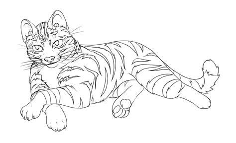 Tabby Cat Drawing at GetDrawings | Free download