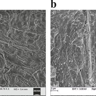 Temporal growth pattern of struvite crystals grown in artificial urine ...