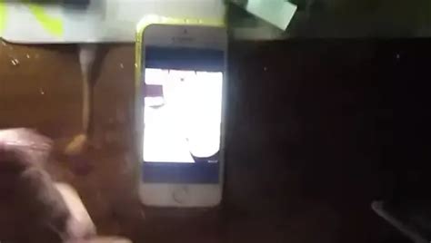 Antonia Gay Porn XHamster