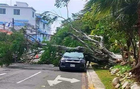 FRENTE FRÍO DERRIBA MEGA ÁRBOL QUE APLASTA DOS VEHÍCULOS