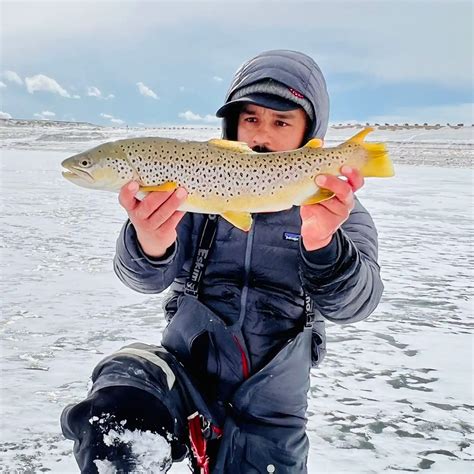 ᐅ Horsetooth Reservoir fishing reports🎣• Fort Collins, CO (United ...