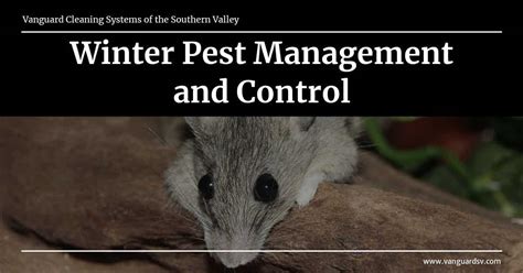 Winter Pest Management And Control