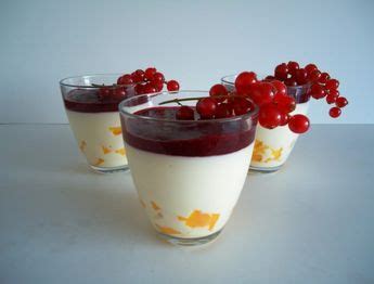 Yoghurt Panna Cotta Met Rood Fruit Recept Recepten Voedsel Idee N