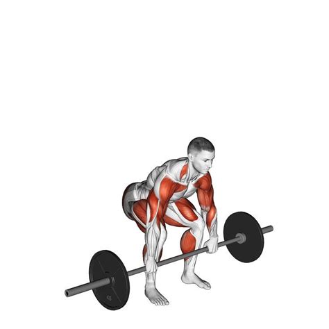 Hang Clean And Jerk Benefits Muscles Worked And More In Hang