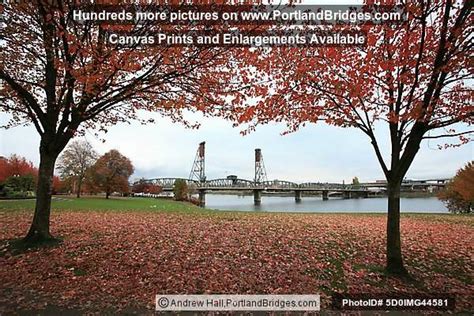 Fall Leaves Hawthorne Bridge Waterfront Park Portland Oregon Photo