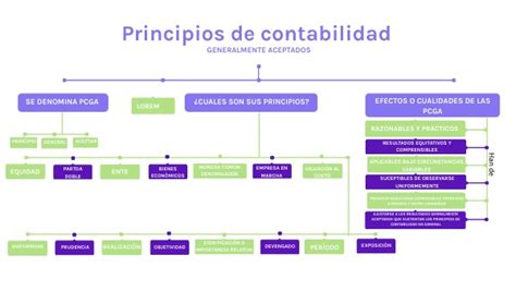 Mapa Conceptual Principios De La Contabilidad Porn Sex Picture