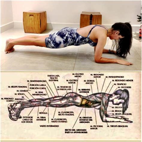 Desafio Abdominal 30 Dias El Objetivo De Este Desafío Que Tiene Tanto éxito En La Red Es