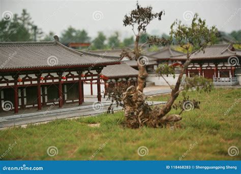 Daming Palace National Heritage Park Stock Image Image Of Group