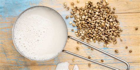 Hemp Milk Recipe - Healing the Body