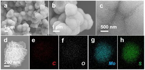 Sem Images Of Zif C Mos A C Elemental Mapping Showing The