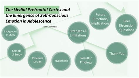 The Medial Prefrontal Cortex and the Emergence of Self-Conscious ...