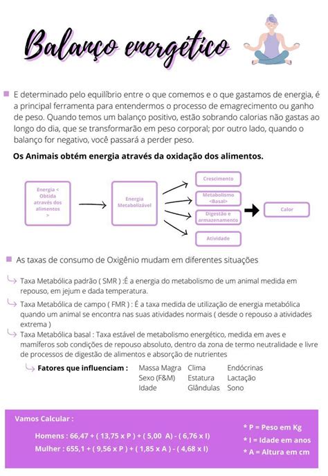 balanço energético Metabolismo Metabolismo basal Energético