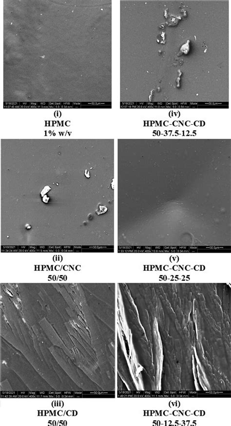 Sem Images Of The Surface Of The Different Edible Films Of Hpmc Cnc Cd