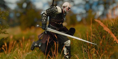 The Witcher 3 Como Obter Os Conjuntos De Armadura Tigre Branco Do