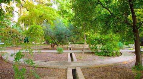 Valencia Botanical Gardens Tours Book Now Expedia