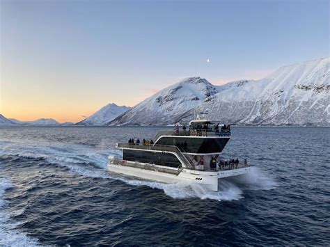 Tromsø: Arctic Fjord Cruise by Hybrid-Electric Catamaran | GetYourGuide