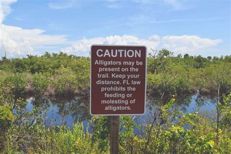 8 Things To Know Before Driving Alligator Alley In Florida - Florida ...