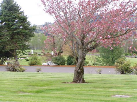 Skyline Memorial Gardens in Portland, Oregon - Find a Grave Cemetery