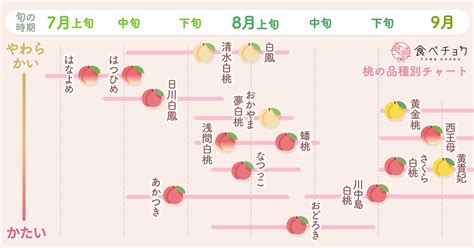 【あなたは硬い派？やわらかい派？】自分好みの桃を見つけよう 食べチョク