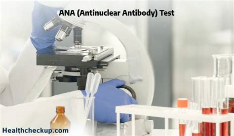 ANA Antinuclear Antibody Test Purpose Procedure Results