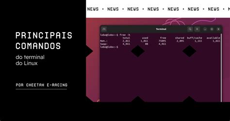 Principais Comandos Do Terminal Do Linux MakerHero