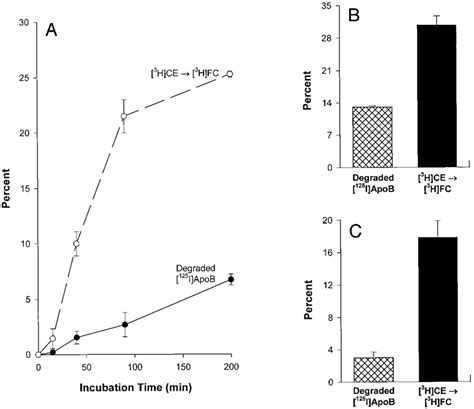 Ldl Ce Hydrolysis Exceeds Apo B Degradation During The Initial