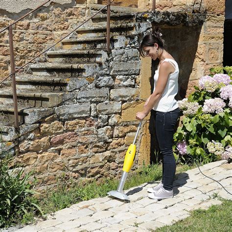 7 olika sätt att ta bort stubbar (för alla plånböcker!)