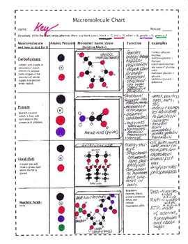 The Ultimate Guide To Understanding Macromolecule Charts Answer Key