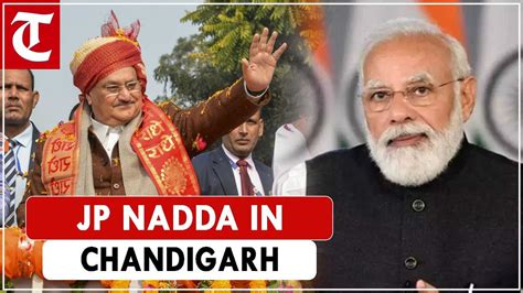 Modi Changed Country S Political Culture Bjp Chief Nadda In Chandigarh