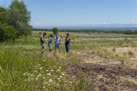 Nuevo Proyecto De Producci N Agroecol Gica De Pasturas En Villa Ciudad