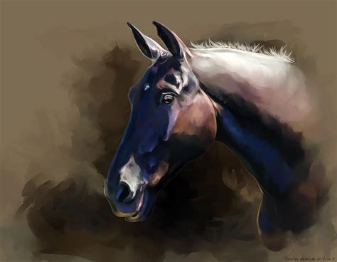 Black Horse By Elsouille On Deviantart