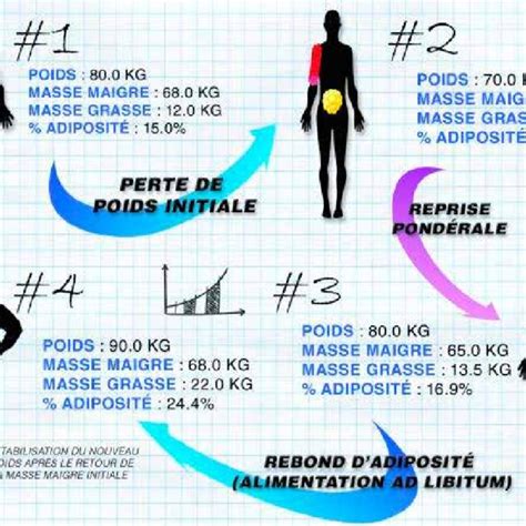 Pdf Rebond D Adiposit Apr S La Perte Pond Rale Peut On Viter Le Saut